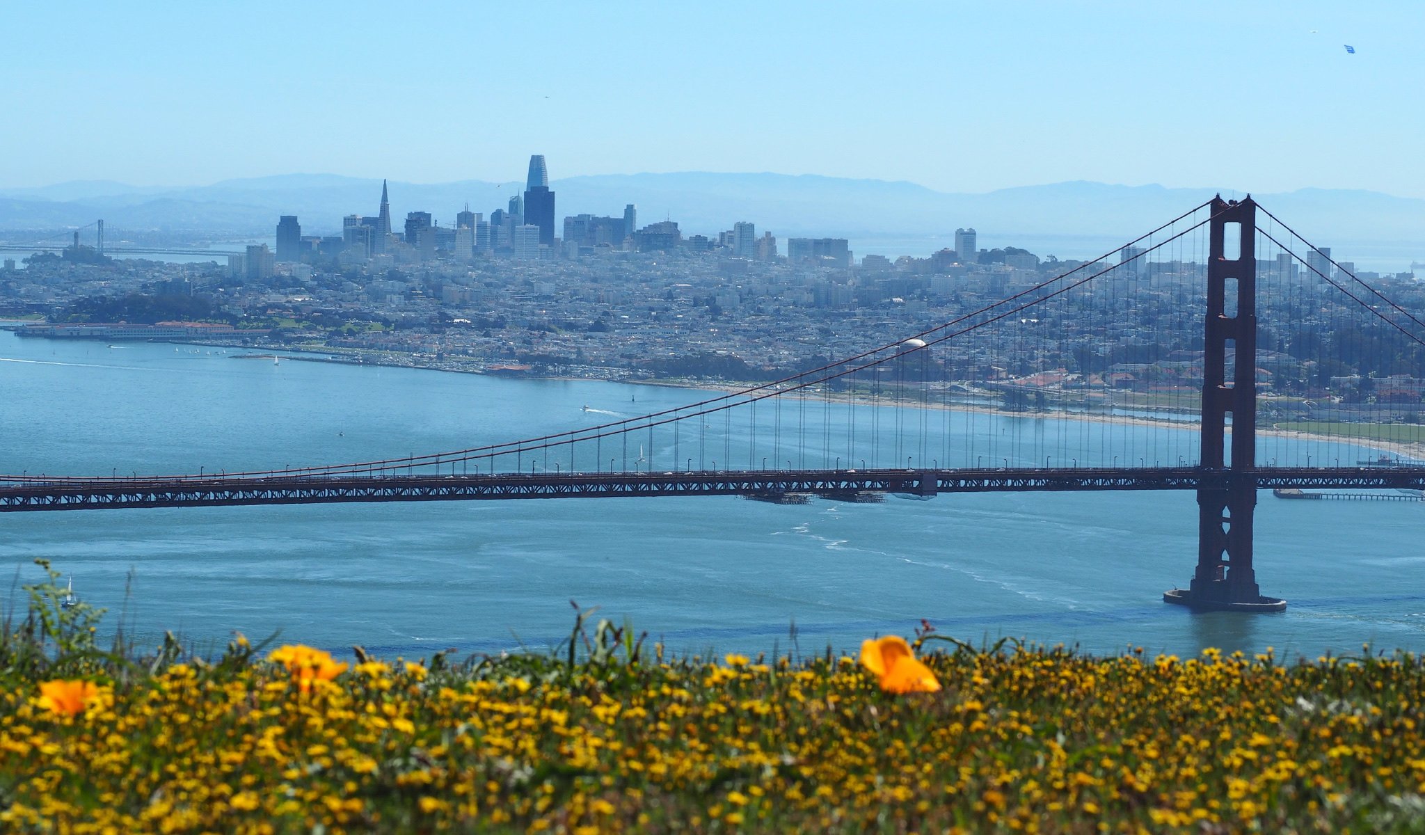San Francisco State